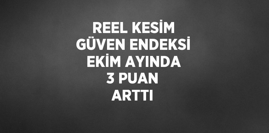 REEL KESİM GÜVEN ENDEKSİ EKİM AYINDA 3 PUAN ARTTI