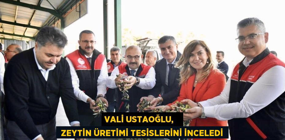 VALİ USTAOĞLU,    ZEYTİN ÜRETİMİ TESİSLERİNİ İNCELEDİ