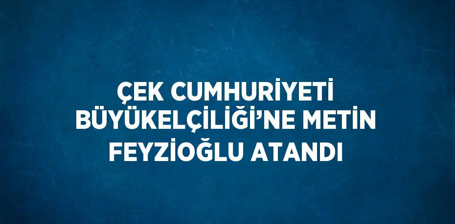 ÇEK CUMHURİYETİ BÜYÜKELÇİLİĞİ’NE METİN FEYZİOĞLU ATANDI