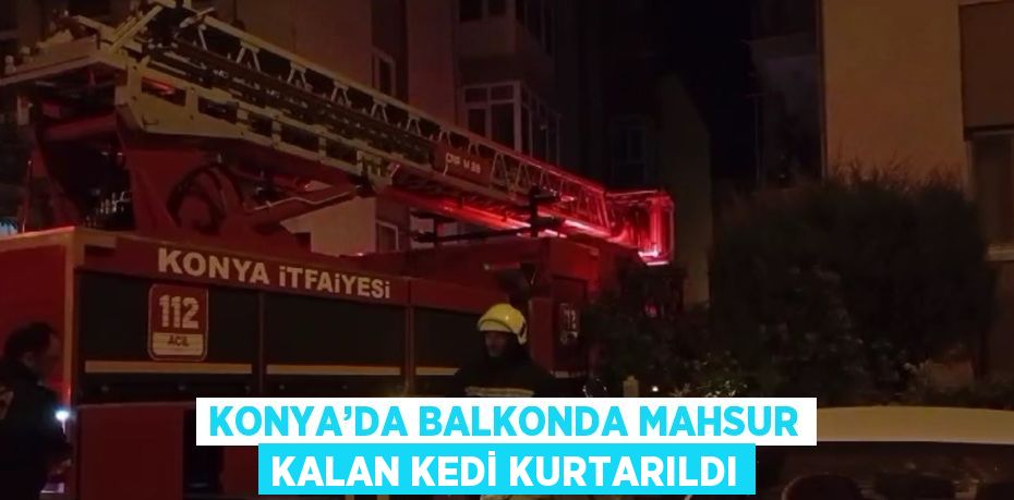 KONYA’DA BALKONDA MAHSUR KALAN KEDİ KURTARILDI