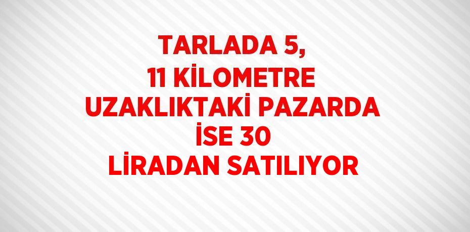 TARLADA 5, 11 KİLOMETRE UZAKLIKTAKİ PAZARDA İSE 30 LİRADAN SATILIYOR