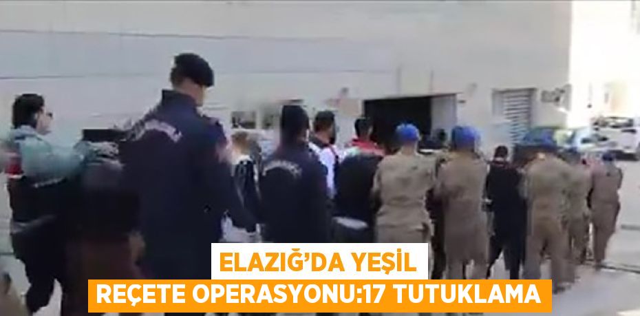 ELAZIĞ’DA YEŞİL REÇETE OPERASYONU:17 TUTUKLAMA