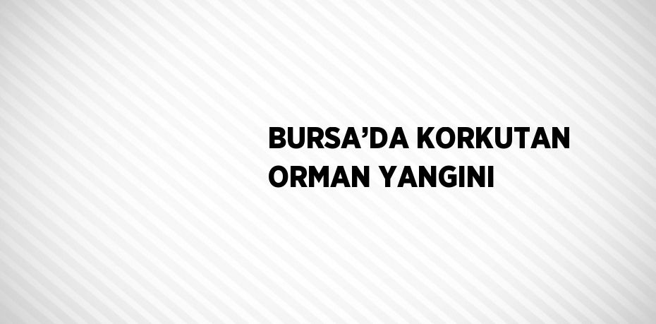 BURSA’DA KORKUTAN ORMAN YANGINI