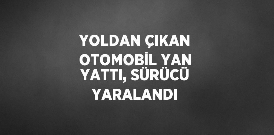 YOLDAN ÇIKAN OTOMOBİL YAN YATTI, SÜRÜCÜ YARALANDI