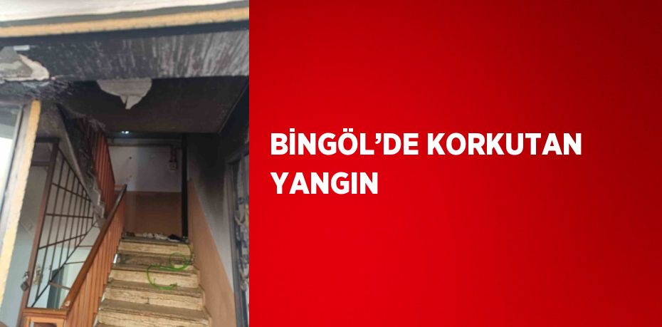 BİNGÖL’DE KORKUTAN YANGIN