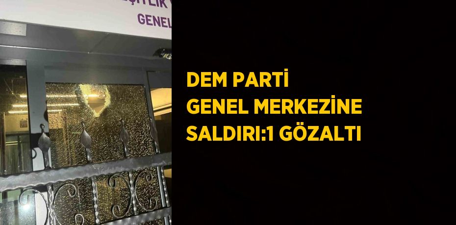 DEM PARTİ GENEL MERKEZİNE SALDIRI:1 GÖZALTI