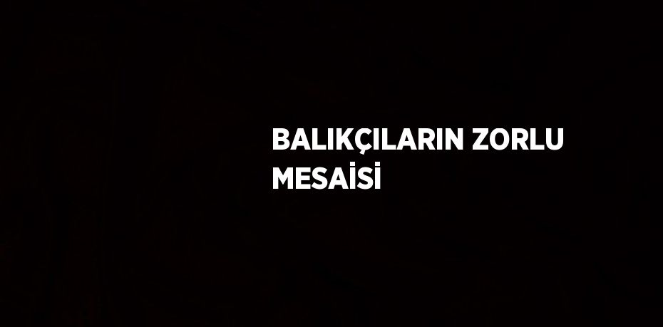 BALIKÇILARIN ZORLU MESAİSİ