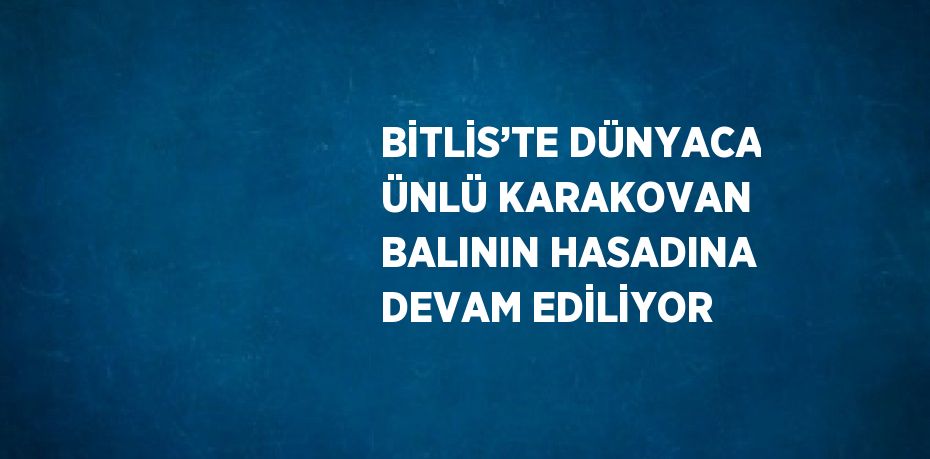 BİTLİS’TE DÜNYACA ÜNLÜ KARAKOVAN BALININ HASADINA DEVAM EDİLİYOR