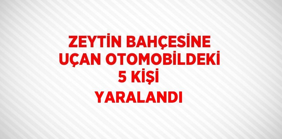 ZEYTİN BAHÇESİNE UÇAN OTOMOBİLDEKİ 5 KİŞİ YARALANDI