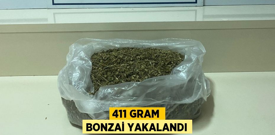 411 GRAM BONZAİ YAKALANDI