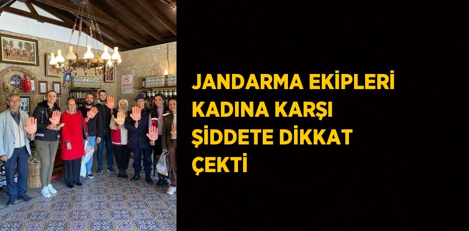 JANDARMA EKİPLERİ KADINA KARŞI ŞİDDETE DİKKAT ÇEKTİ