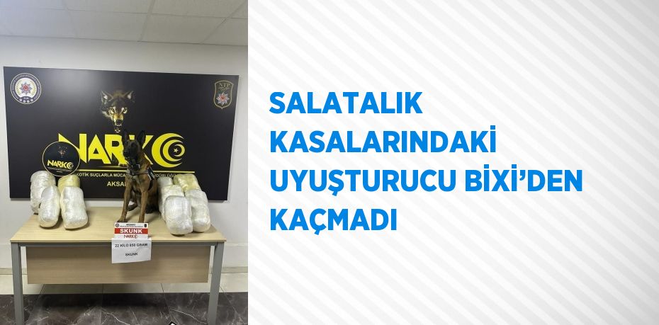 SALATALIK KASALARINDAKİ UYUŞTURUCU BİXİ’DEN KAÇMADI