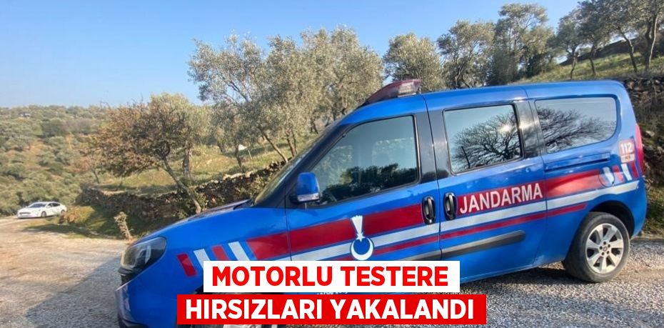 MOTORLU TESTERE HIRSIZLARI YAKALANDI