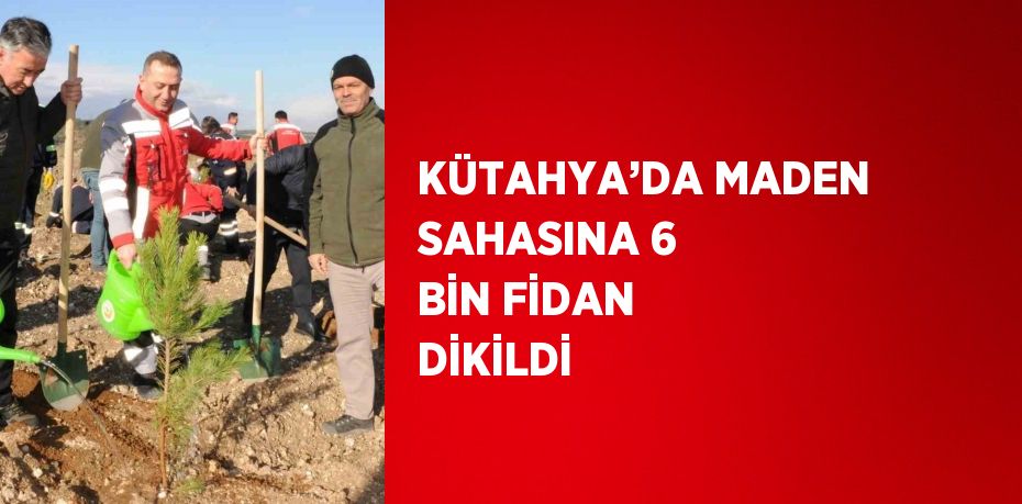 KÜTAHYA’DA MADEN SAHASINA 6 BİN FİDAN DİKİLDİ