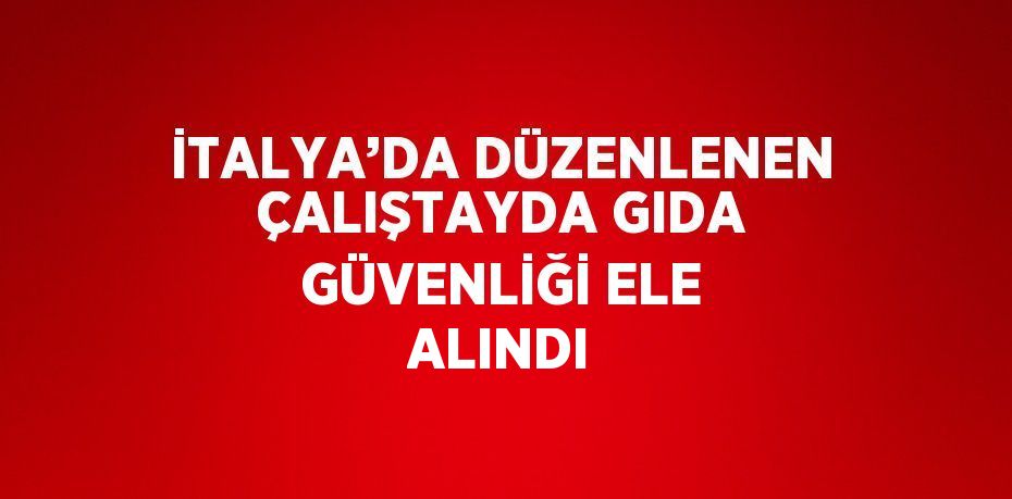 İTALYA’DA DÜZENLENEN ÇALIŞTAYDA GIDA GÜVENLİĞİ ELE ALINDI