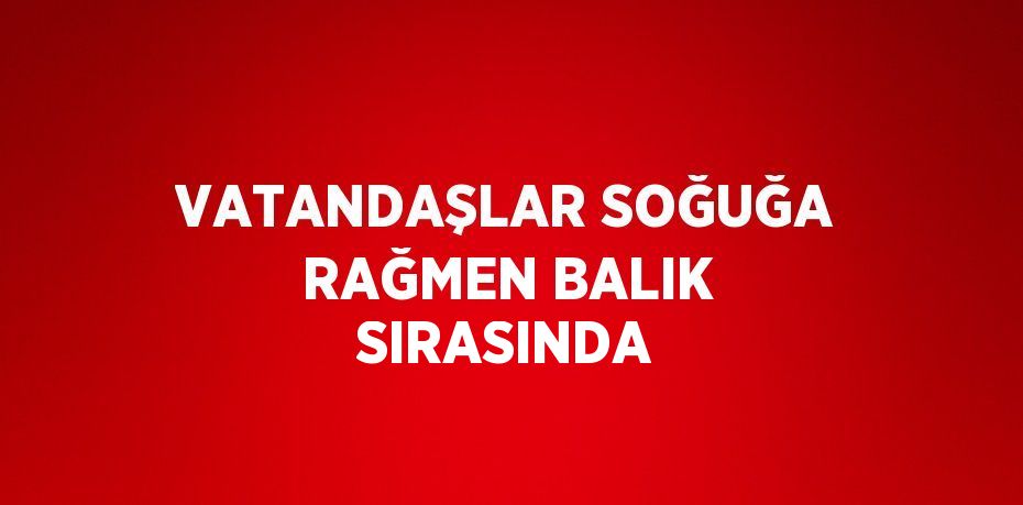 VATANDAŞLAR SOĞUĞA RAĞMEN BALIK SIRASINDA