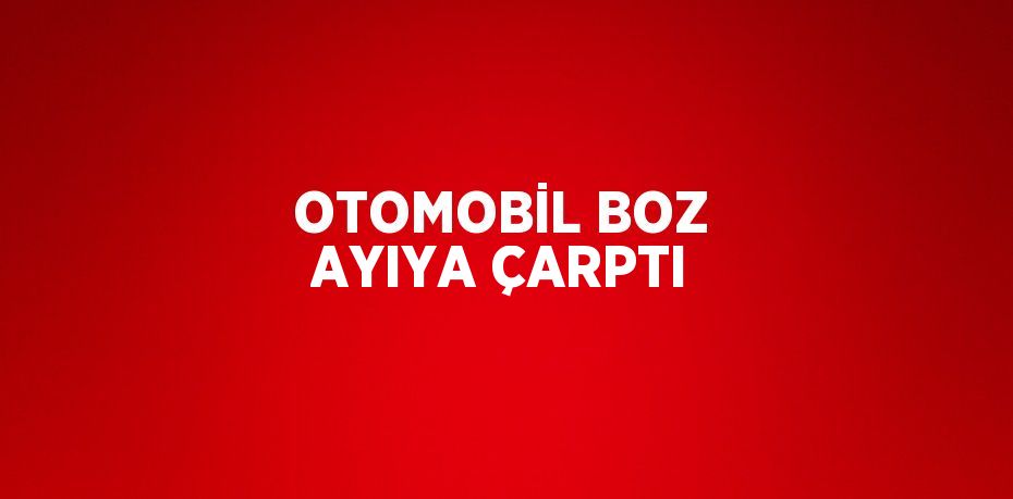 OTOMOBİL BOZ AYIYA ÇARPTI