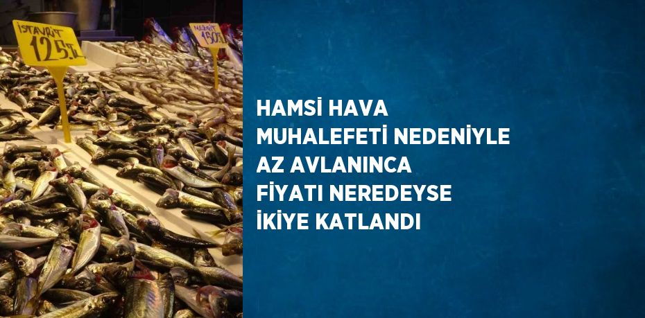 HAMSİ HAVA MUHALEFETİ NEDENİYLE AZ AVLANINCA FİYATI NEREDEYSE İKİYE KATLANDI