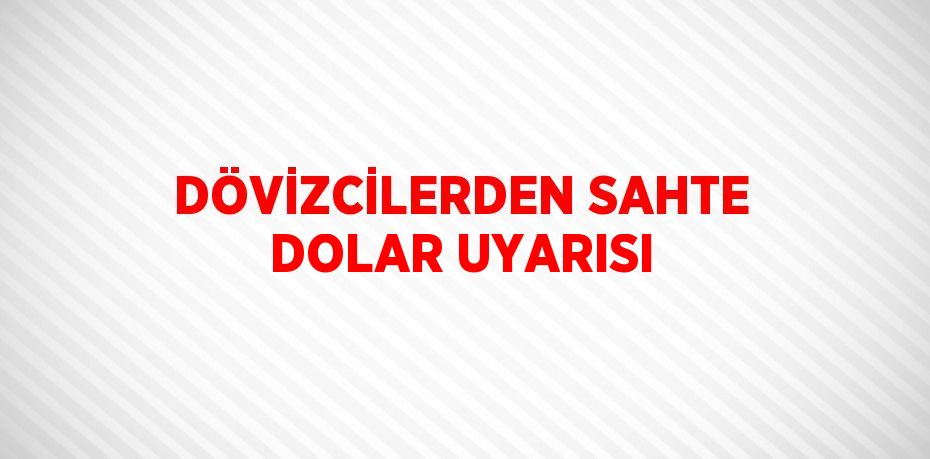 DÖVİZCİLERDEN SAHTE DOLAR UYARISI