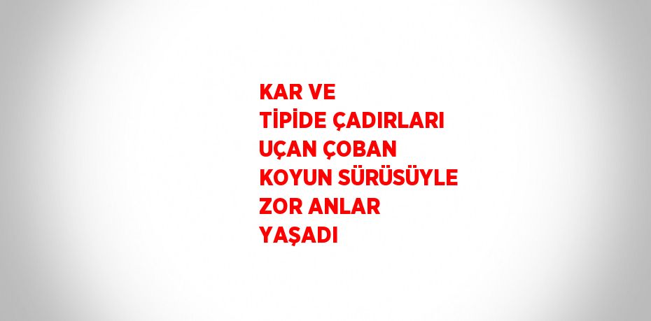 KAR VE TİPİDE ÇADIRLARI UÇAN ÇOBAN KOYUN SÜRÜSÜYLE ZOR ANLAR YAŞADI