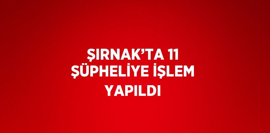 ŞIRNAK’TA 11 ŞÜPHELİYE İŞLEM YAPILDI