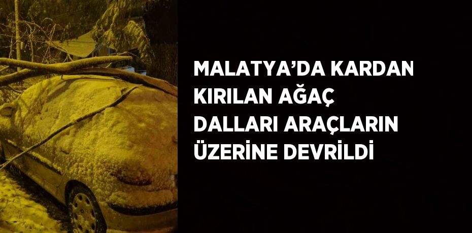 MALATYA’DA KARDAN KIRILAN AĞAÇ DALLARI ARAÇLARIN ÜZERİNE DEVRİLDİ