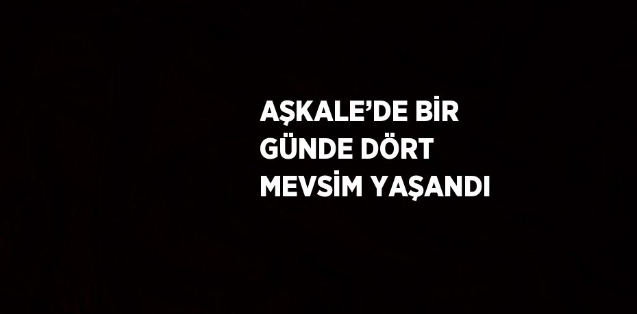 AŞKALE’DE BİR GÜNDE DÖRT MEVSİM YAŞANDI