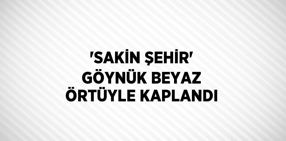 'SAKİN ŞEHİR' GÖYNÜK BEYAZ ÖRTÜYLE KAPLANDI