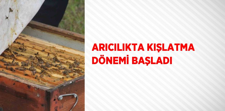 ARICILIKTA KIŞLATMA DÖNEMİ BAŞLADI