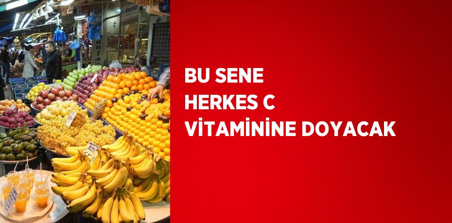 BU SENE HERKES C VİTAMİNİNE DOYACAK