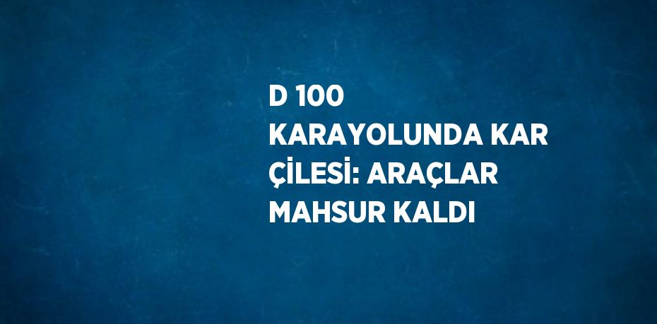 D 100 KARAYOLUNDA KAR ÇİLESİ: ARAÇLAR MAHSUR KALDI