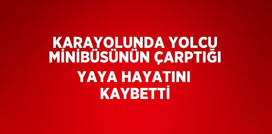 KARAYOLUNDA YOLCU MİNİBÜSÜNÜN ÇARPTIĞI YAYA HAYATINI KAYBETTİ