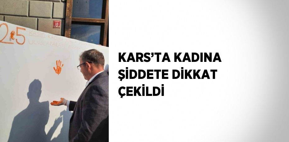 KARS’TA KADINA ŞİDDETE DİKKAT ÇEKİLDİ