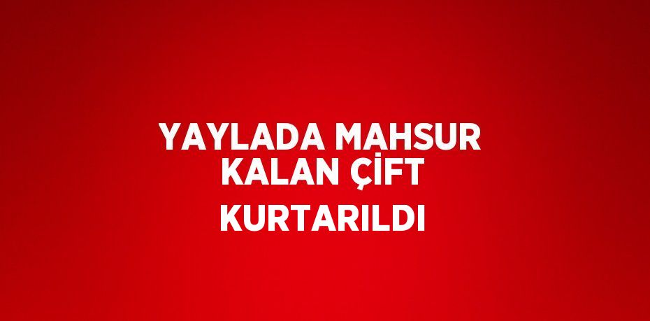 YAYLADA MAHSUR KALAN ÇİFT KURTARILDI