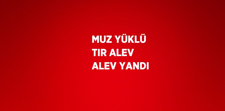 MUZ YÜKLÜ TIR ALEV ALEV YANDI