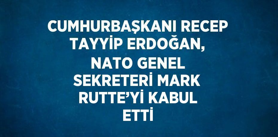 CUMHURBAŞKANI RECEP TAYYİP ERDOĞAN, NATO GENEL SEKRETERİ MARK RUTTE’Yİ KABUL ETTİ