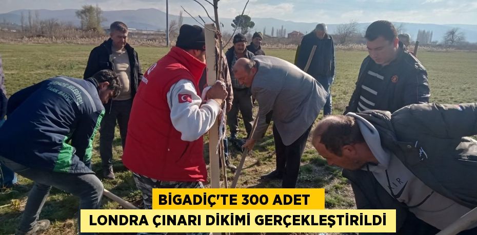 BİGADİÇ’TE 300 ADET    LONDRA ÇINARI DİKİMİ GERÇEKLEŞTİRİLDİ