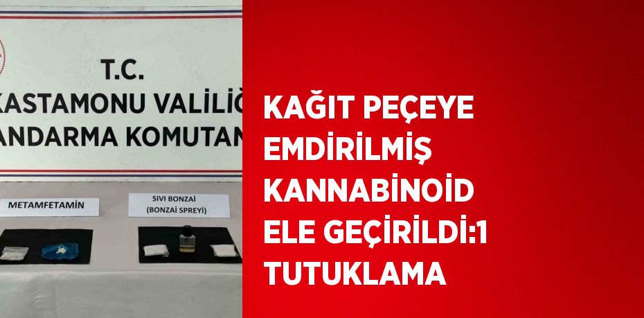 KAĞIT PEÇEYE EMDİRİLMİŞ KANNABİNOİD ELE GEÇİRİLDİ:1 TUTUKLAMA