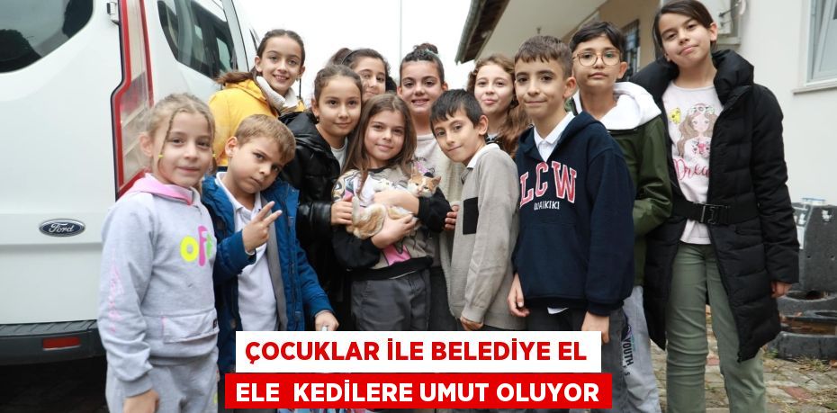 ÇOCUKLAR İLE BELEDİYE EL ELE  KEDİLERE UMUT OLUYOR