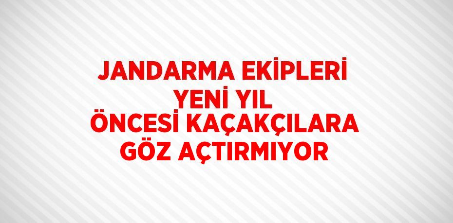 JANDARMA EKİPLERİ YENİ YIL ÖNCESİ KAÇAKÇILARA GÖZ AÇTIRMIYOR