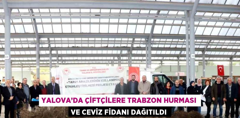 YALOVA’DA ÇİFTÇİLERE TRABZON HURMASI VE CEVİZ FİDANI DAĞITILDI