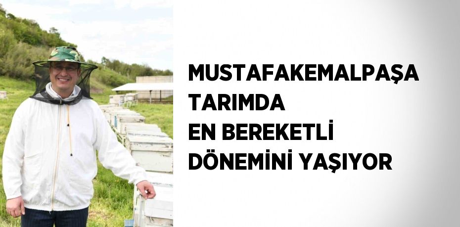 MUSTAFAKEMALPAŞA TARIMDA EN BEREKETLİ DÖNEMİNİ YAŞIYOR