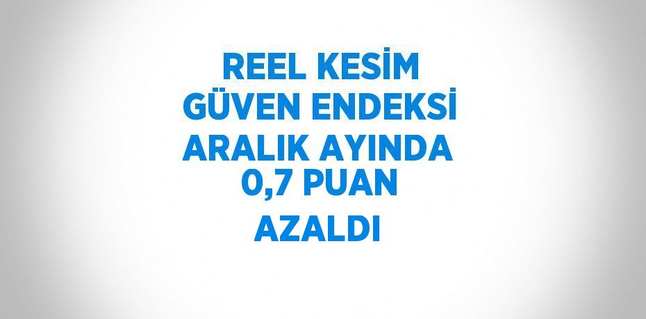 REEL KESİM GÜVEN ENDEKSİ ARALIK AYINDA 0,7 PUAN AZALDI