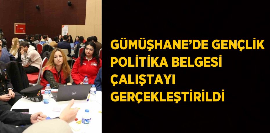 GÜMÜŞHANE’DE GENÇLİK POLİTİKA BELGESİ ÇALIŞTAYI GERÇEKLEŞTİRİLDİ