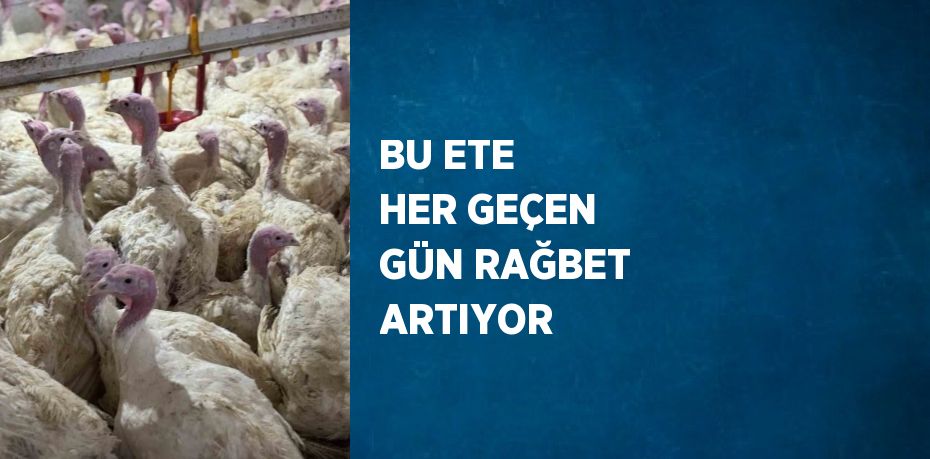 BU ETE HER GEÇEN GÜN RAĞBET ARTIYOR