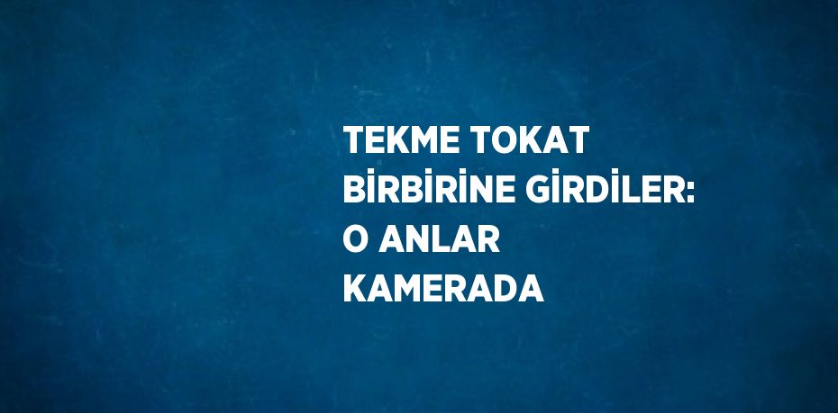 TEKME TOKAT BİRBİRİNE GİRDİLER: O ANLAR KAMERADA