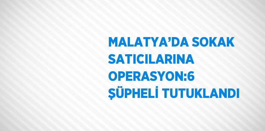 MALATYA’DA SOKAK SATICILARINA OPERASYON:6 ŞÜPHELİ TUTUKLANDI