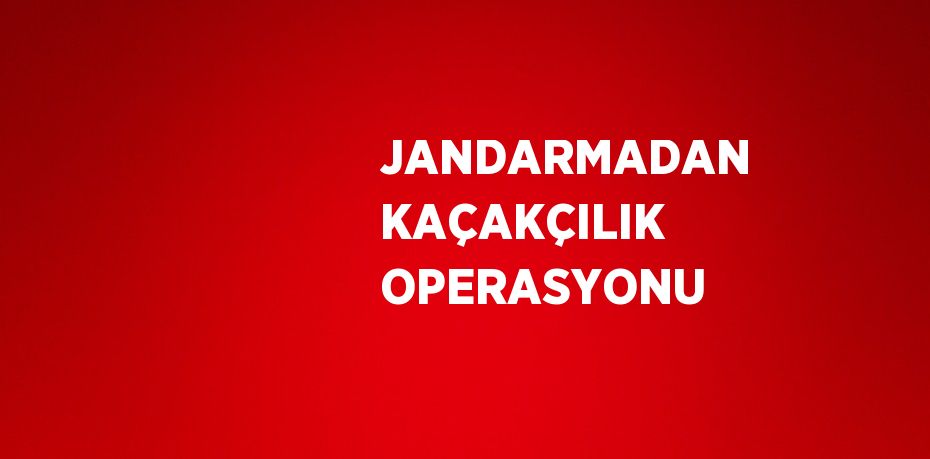 JANDARMADAN KAÇAKÇILIK OPERASYONU