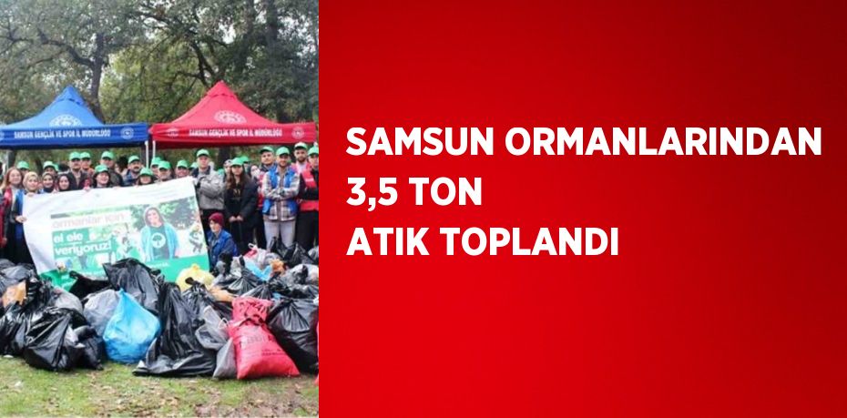 SAMSUN ORMANLARINDAN 3,5 TON ATIK TOPLANDI