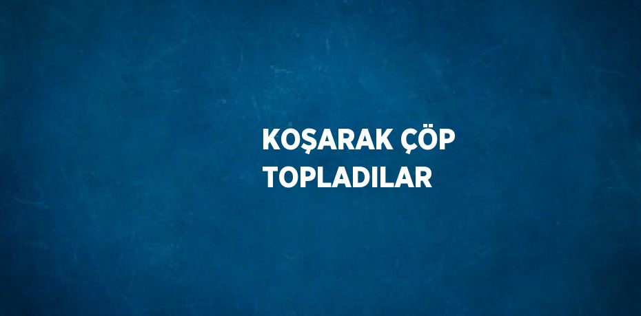 KOŞARAK ÇÖP TOPLADILAR